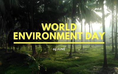 15 Things You Can Pledge on World Environment Day 2023