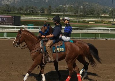 LATINO COMP DAY AT THE RACES 2019 Laura M. Wilson & Associates, Inc.