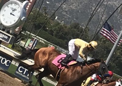 LATINO COMP DAY AT THE RACES 2019 Laura M. Wilson & Associates, Inc.