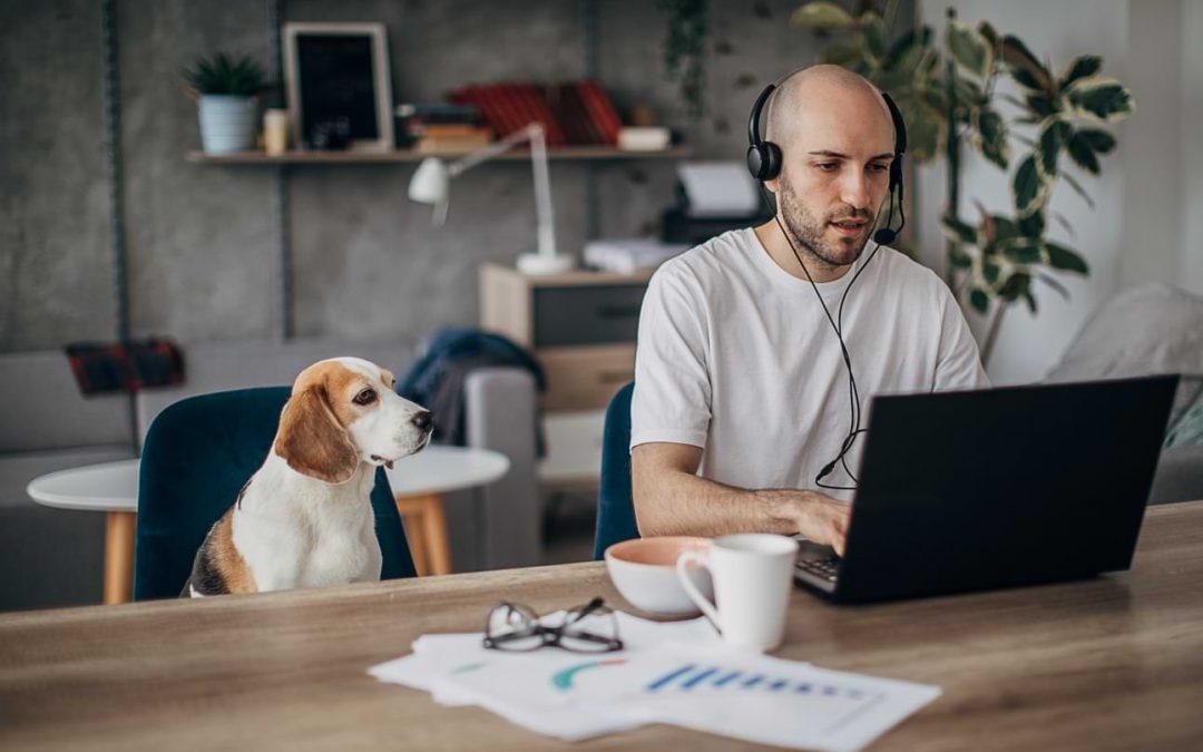 Work From Home Laws in California for 2023